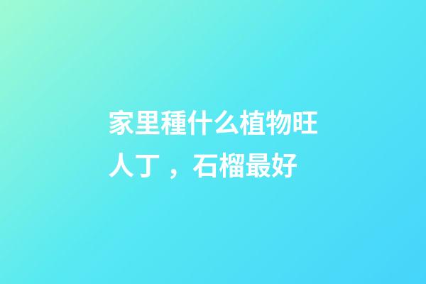 家里種什么植物旺人丁，石榴最好